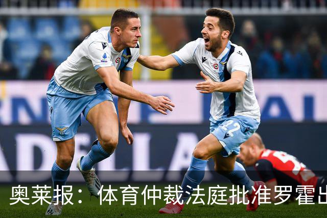 奥莱报：体育仲裁法庭批准罗霍出战弗拉门戈